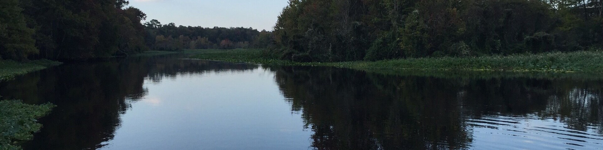 Oklawaha River in the Ocala National Forest #camping