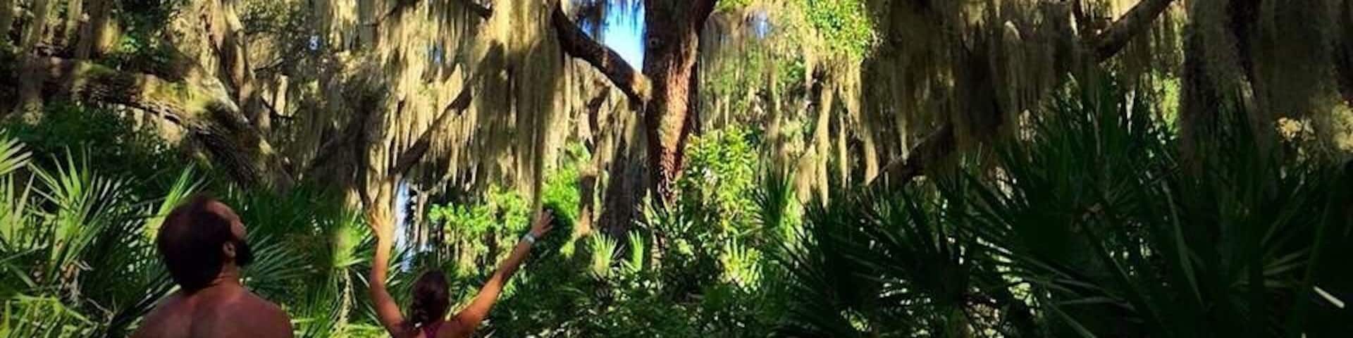 A pathway surrounded by trees with Spanish moss hanging from the branches.