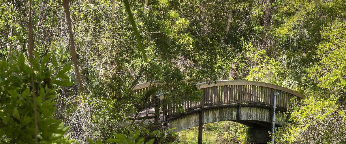 A wooden bridge over a clear blue water body surrounded by dense greenery.
