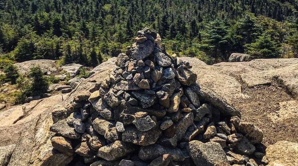 Summer road trip 🚗 to Lake Placid, a quaint village in the Adirondacks region (which hosted the 1980 Winter Olympics) ⛷. In town for just a weekend, we decided to do the shortest and easiest hike in Adirondack and that was Cascade Mountain. ⛰ At an elevation of around 4000 ft., it offers great views of Lake Placid for a casual hiker. 👟👟
Trip highlight: 🌌Stargazing near a surreal mist covered pond in Tupper Lake area, with wolves 🐺 howling nearby. (I wish I had captured a video but as luck would have it, since it was an impromptu activity, we didn't have the right equipment. Then again, maybe it's best left for another visit to this cozy town 😊)
#Adirondacks #NY #takeahike