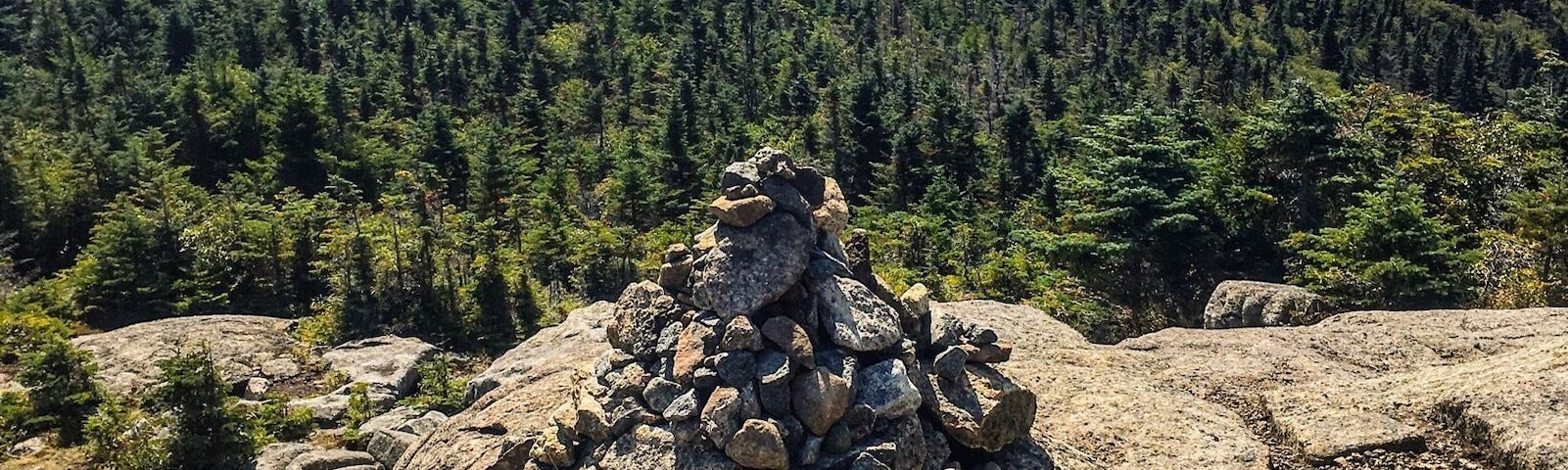 Summer road trip 🚗 to Lake Placid, a quaint village in the Adirondacks region (which hosted the 1980 Winter Olympics) ⛷. In town for just a weekend, we decided to do the shortest and easiest hike in Adirondack and that was Cascade Mountain. ⛰ At an elevation of around 4000 ft., it offers great views of Lake Placid for a casual hiker. 👟👟
Trip highlight: 🌌Stargazing near a surreal mist covered pond in Tupper Lake area, with wolves 🐺 howling nearby. (I wish I had captured a video but as luck would have it, since it was an impromptu activity, we didn't have the right equipment. Then again, maybe it's best left for another visit to this cozy town 😊)
#Adirondacks #NY #takeahike