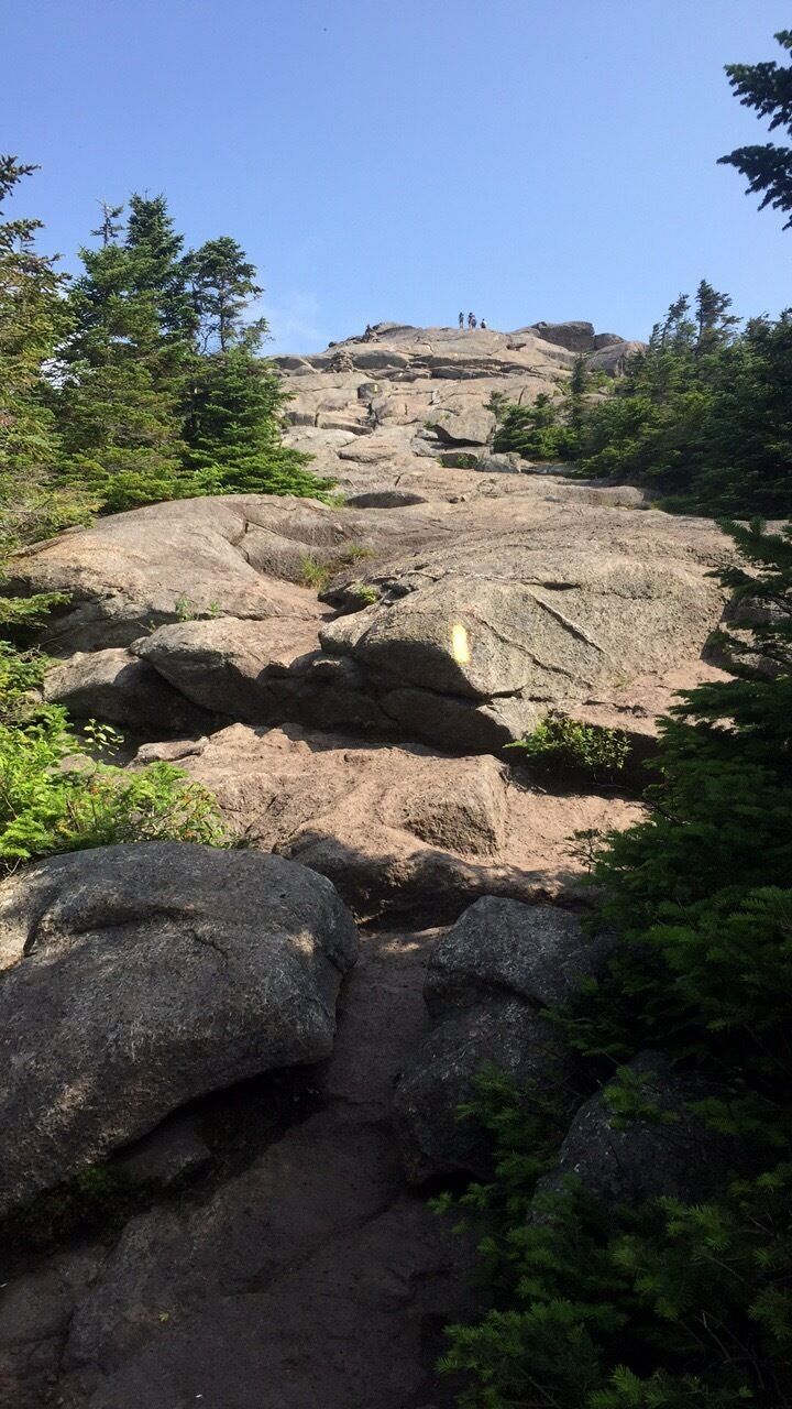 Last leg of this beautiful trail to the summit of one of the Adirondack 46 High Peaks - Cascade Mountain! #TakeAHike