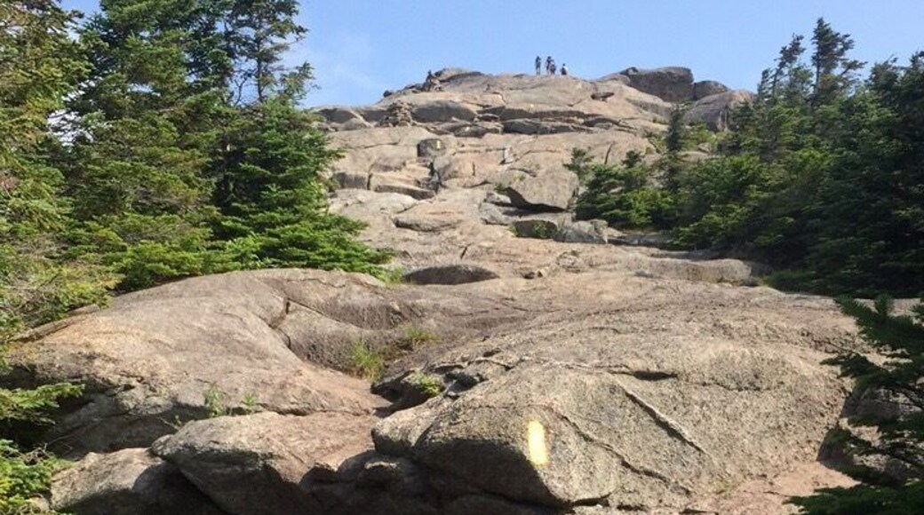 Last leg of this beautiful trail to the summit of one of the Adirondack 46 High Peaks - Cascade Mountain! #TakeAHike