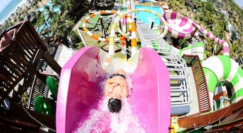 Beach Park Water Park which includes a waterpark as well as an individual male