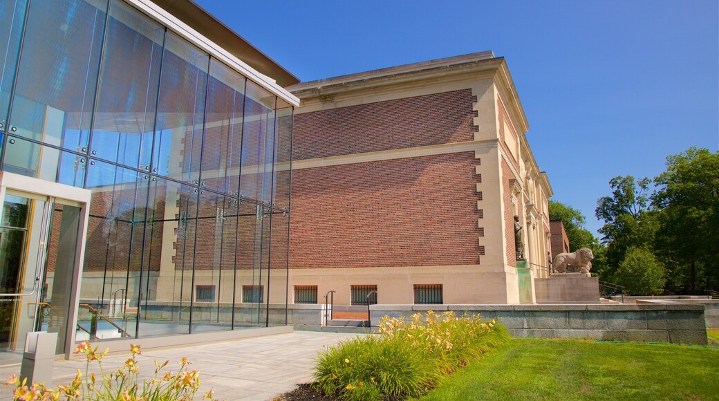 Bowdoin College Museum of Art which includes modern architecture and wild flowers