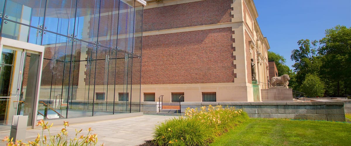 Bowdoin College Museum of Art ofreciendo flores silvestres y arquitectura moderna