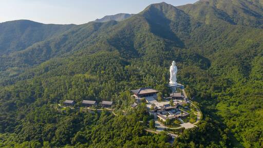 Tsz Shan Monastery, tai po at Hong Kong