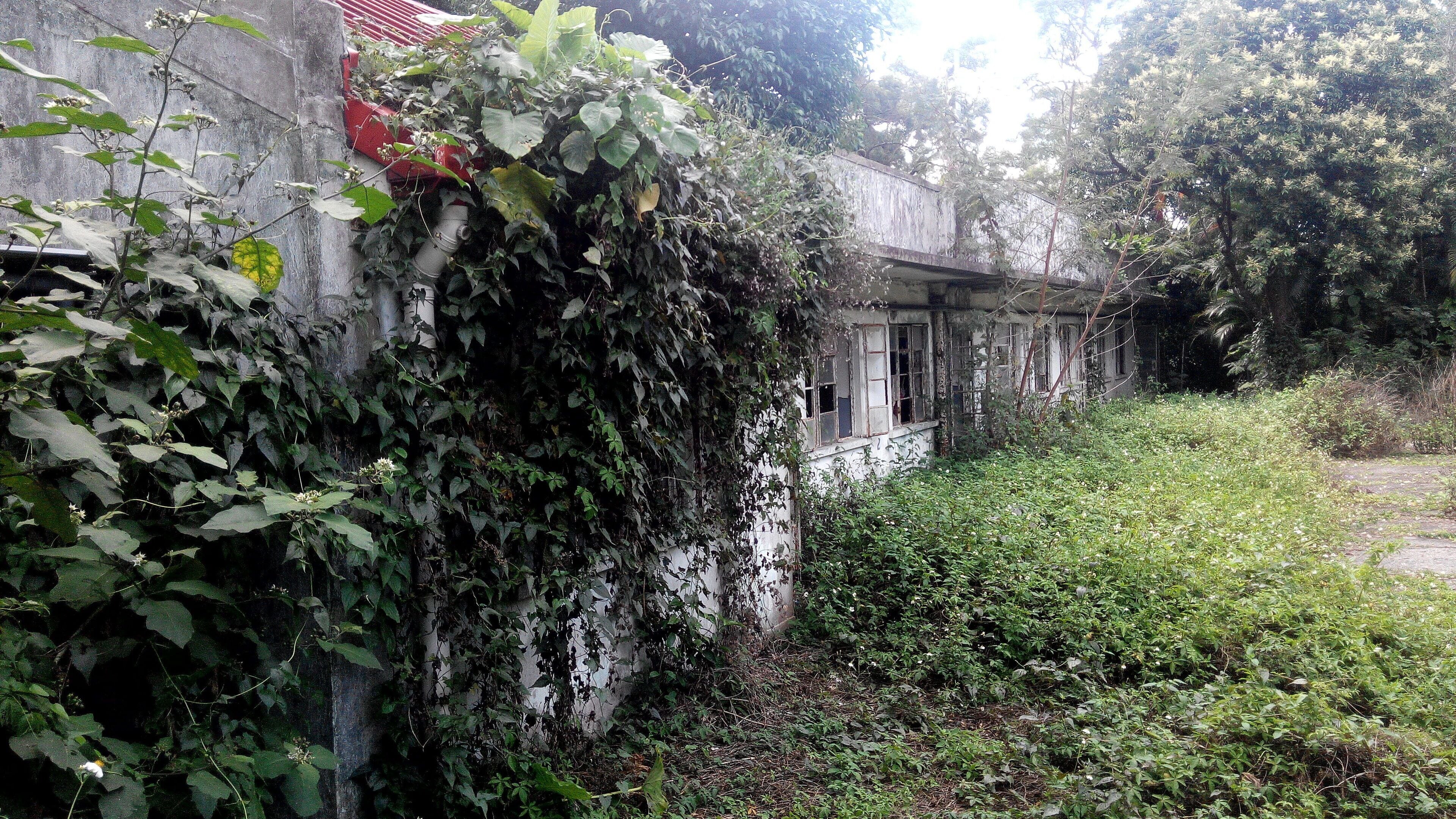 FMO Sam Mun Tsai New Village Primary School