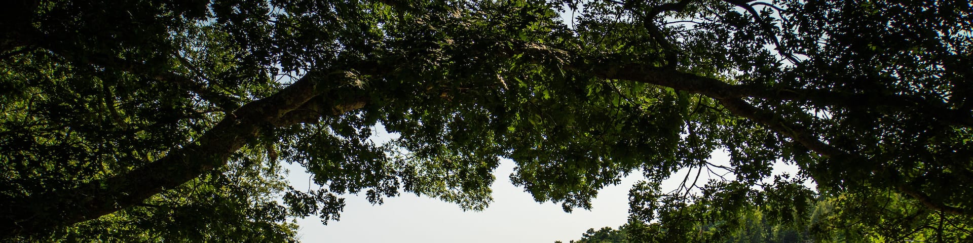 Barrett's park in Boothbay Harbor, Maine
