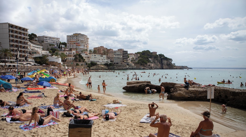 PalmadeMallorca_CalaMayorBeach_6186167_01-2