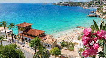 Cala Mayor