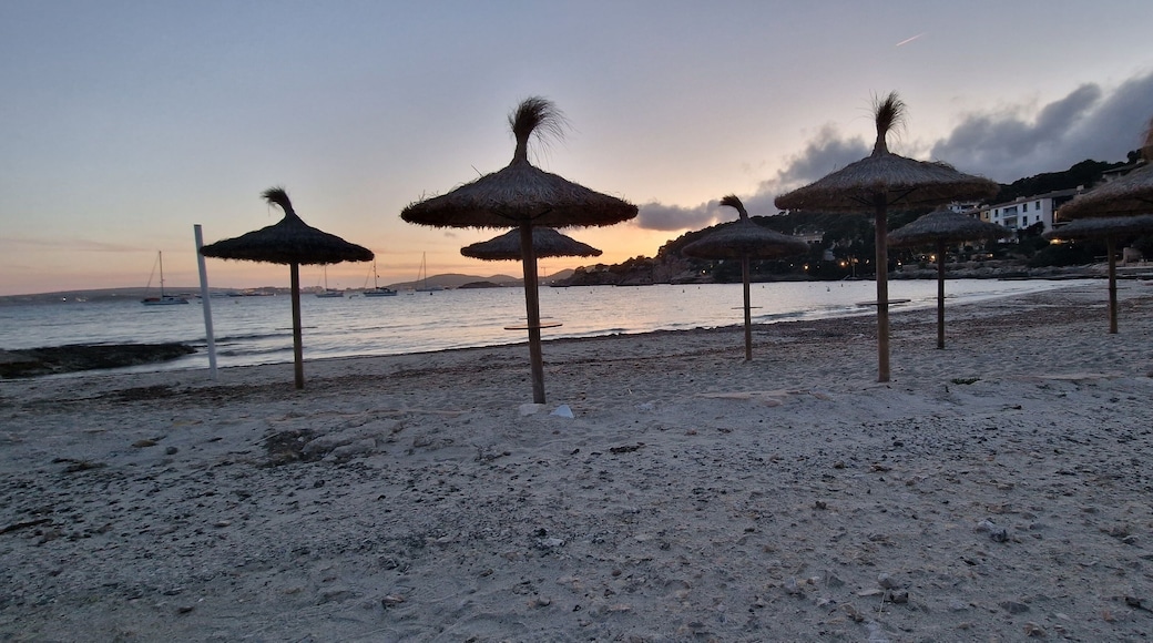 Playa Illetes is a beach on the southwest coast of Mallorca, about 10 km away from Palma, in the holiday resort town of Illetas, between Portals Nous and Cala Mayor.