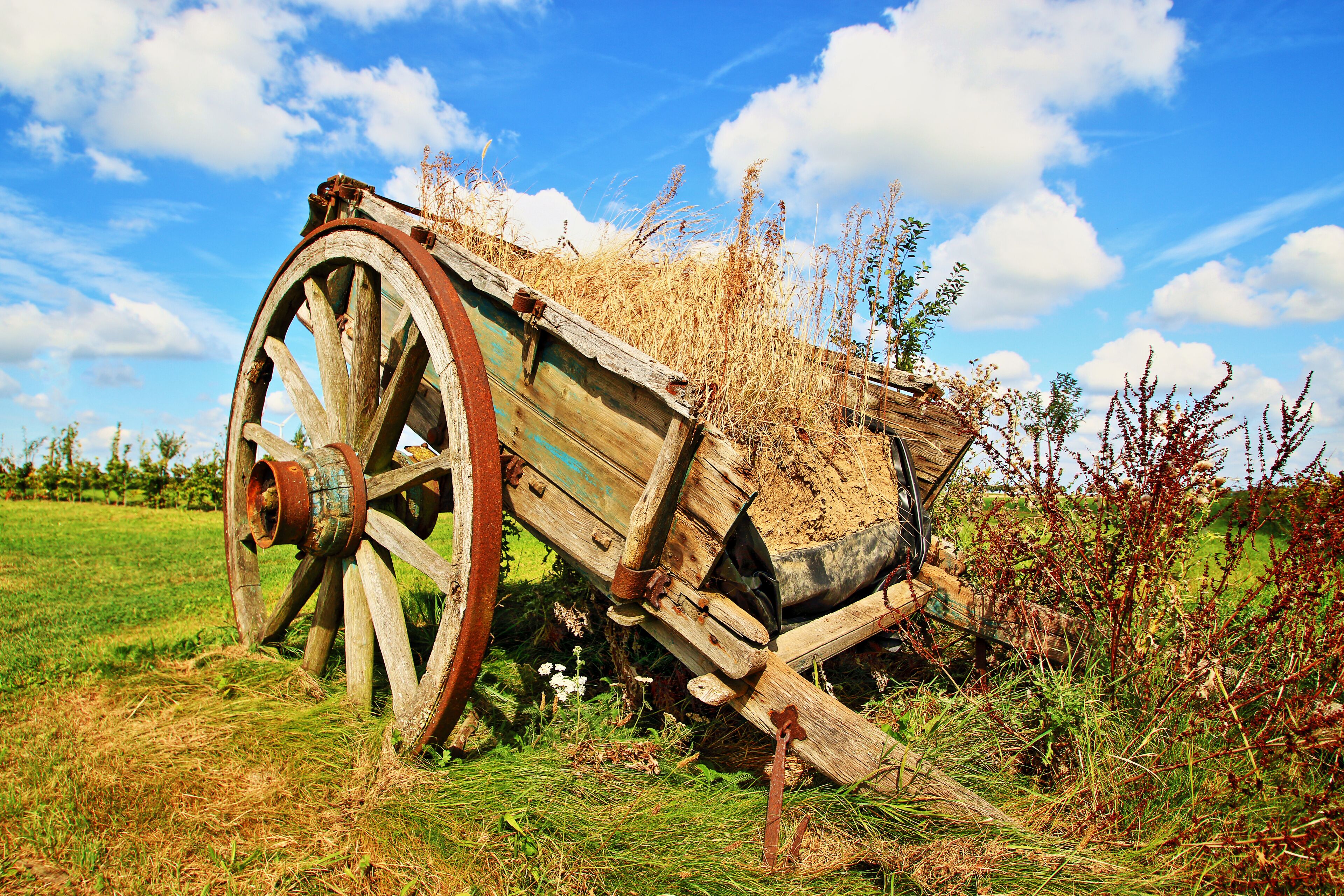 Alter, abgestellter Bauernkarren,