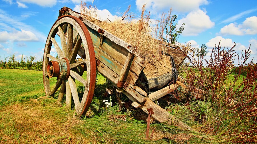 แวกเนอร์ฟาร์ม