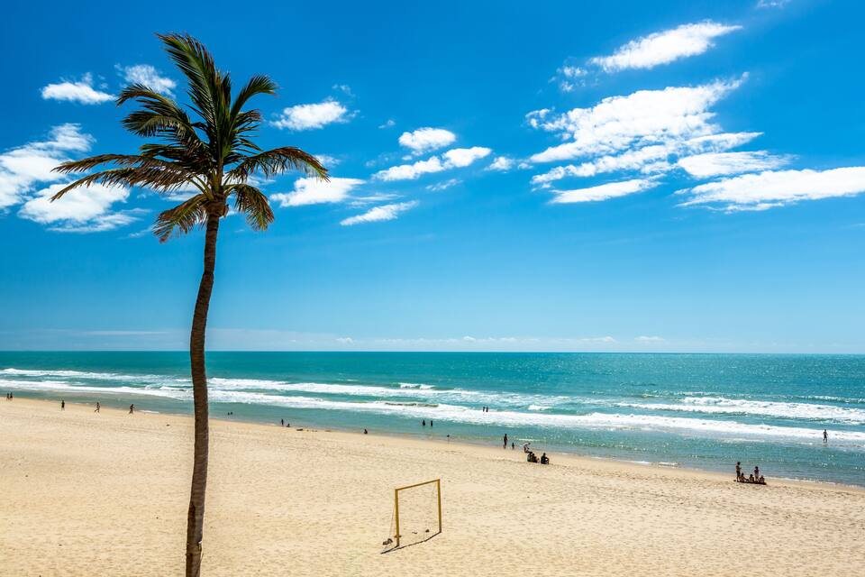 A beach with a palm tree, ocean waves, and people in the distance.