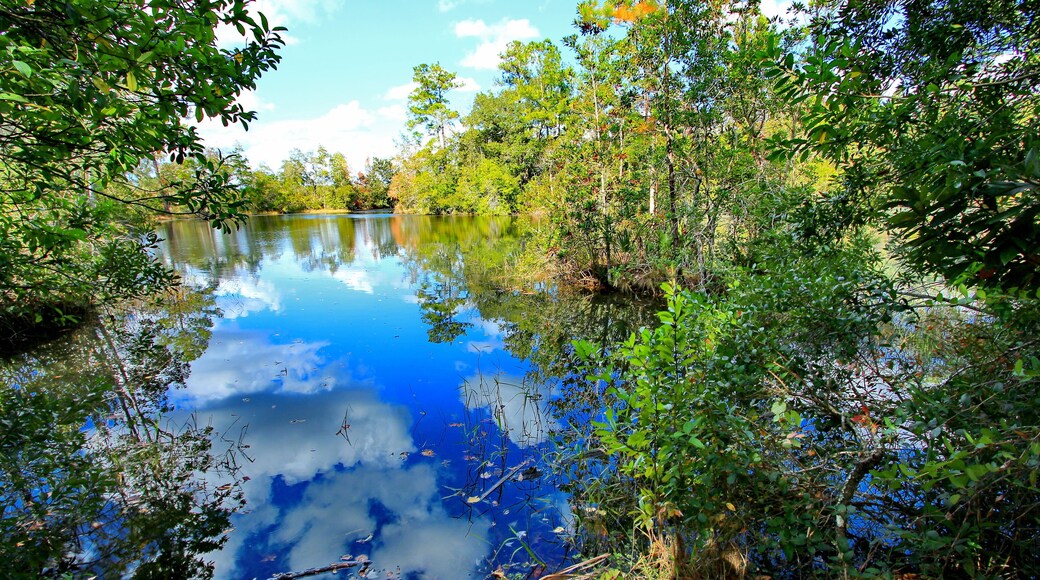 Blue Spring State Park in Florida, USA