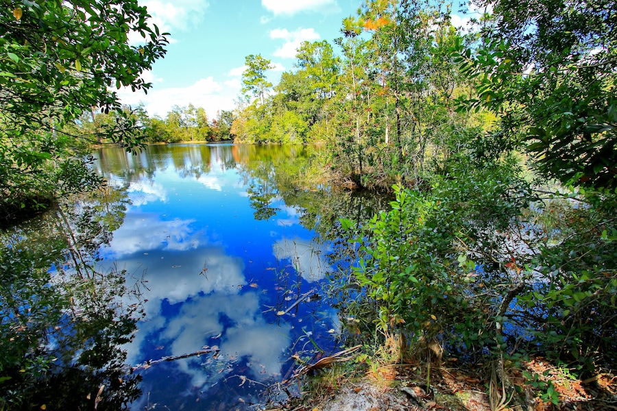 Blue Spring State Park in Florida, USA