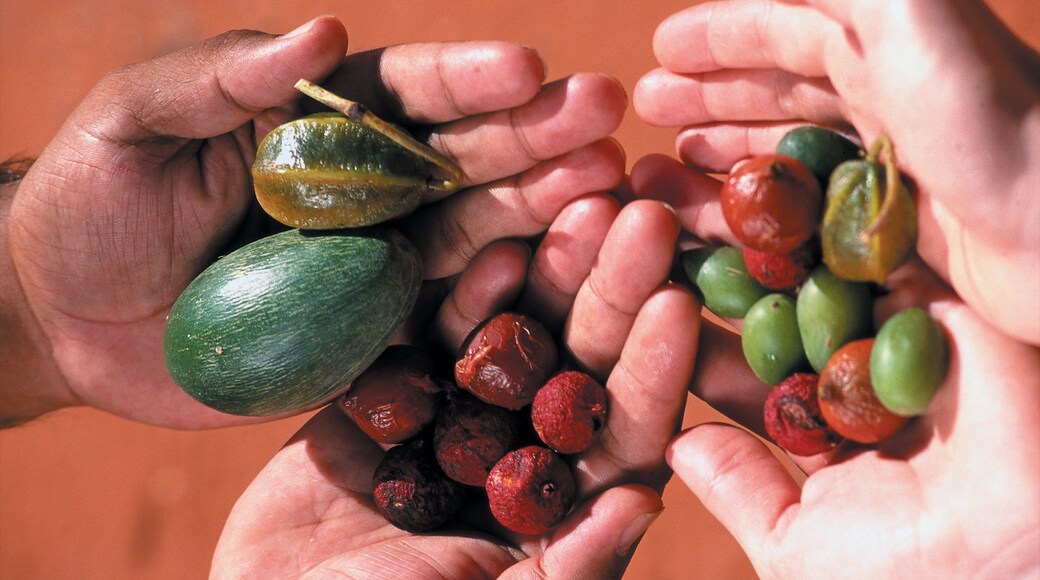 Alice Springs Parque del Desierto ofreciendo comida