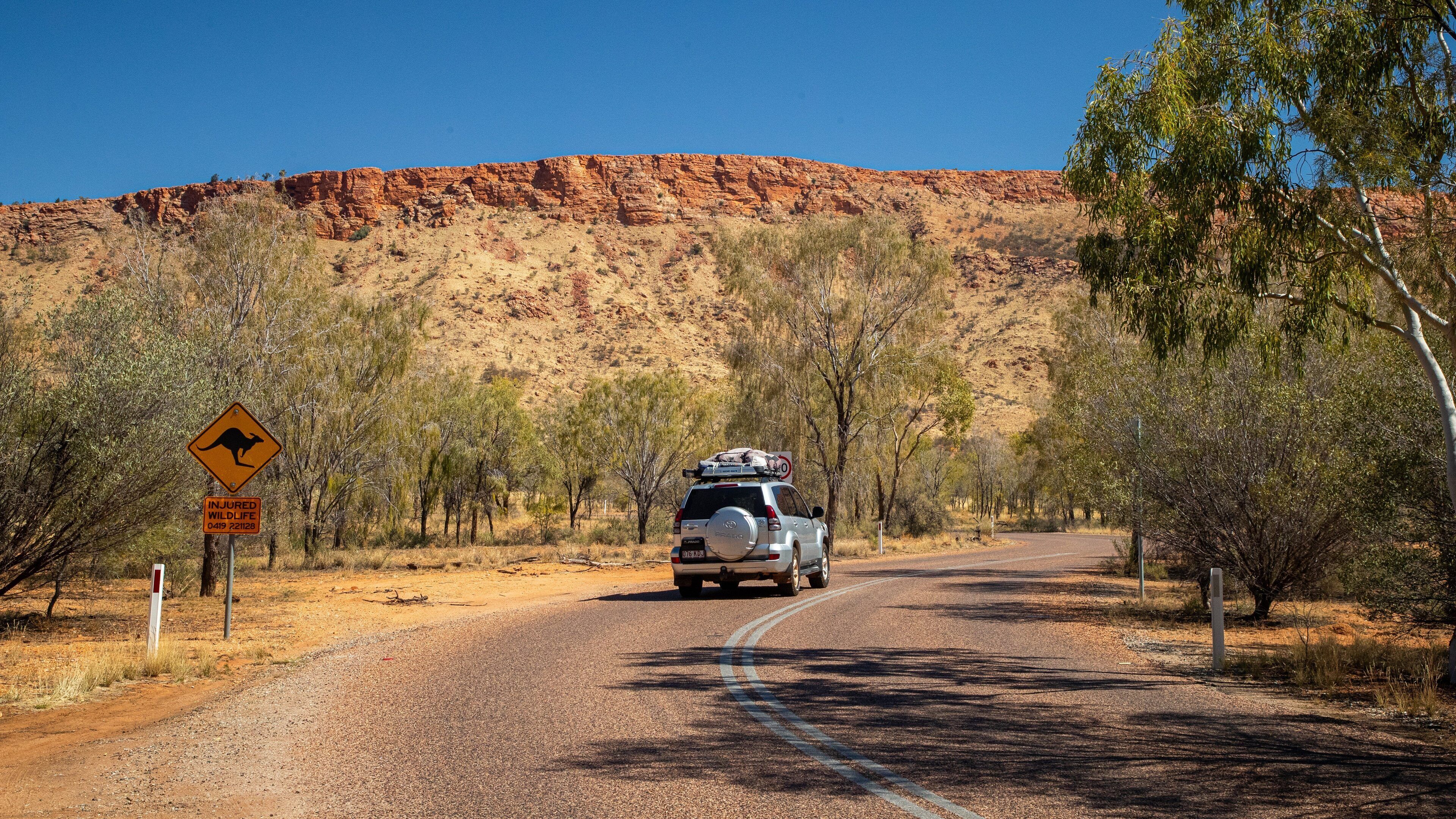 Alice Springs Desert Park featuring 4 wheel driving and desert views