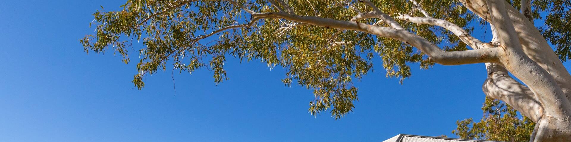 Alice Springs Telegraph Station showing farmland and a small town or village