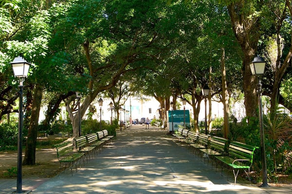 Un sentier bordé d’arbres, agrémenté de bancs et de lampadaires.
