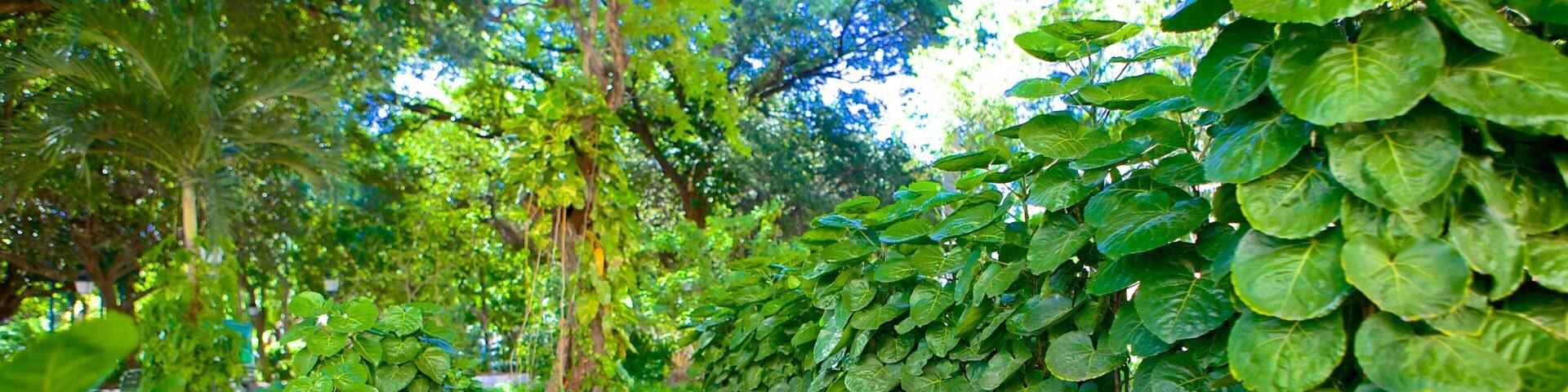 Passeio Publico featuring a park