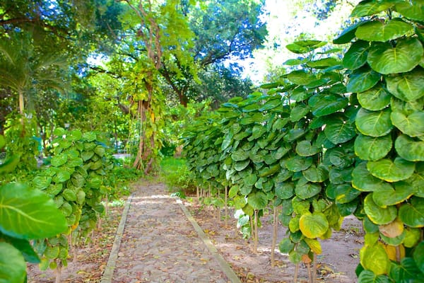 Passeio Publico featuring a park