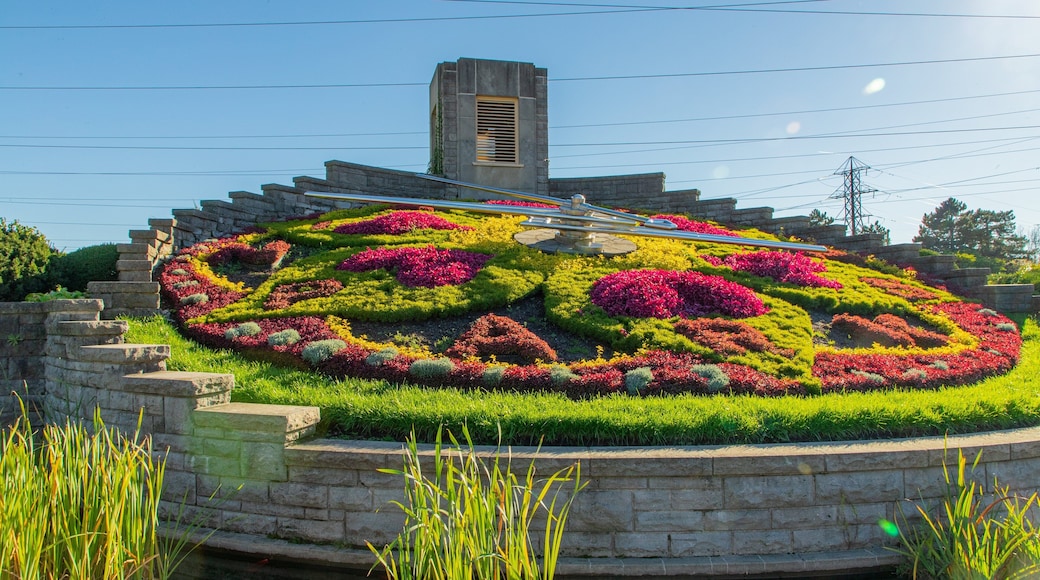 Floral Clock featuring flowers, a garden and a sunset