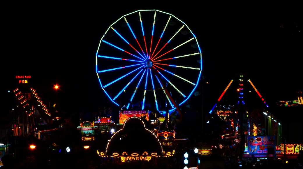 View of the Indiana state fair by night