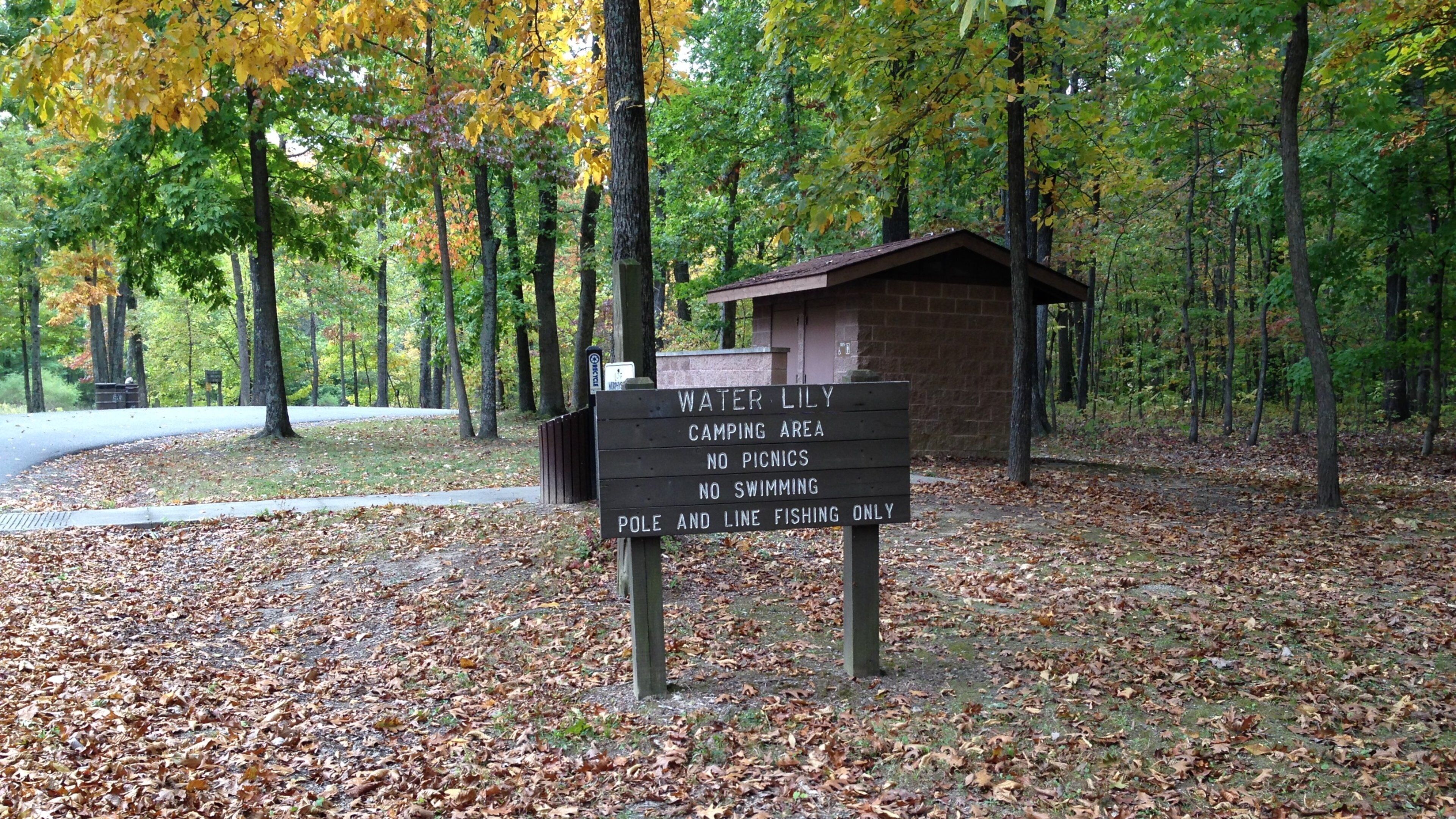 Lake Murphysboro State Park que inclui cenas de floresta, sinalização e cores do outono