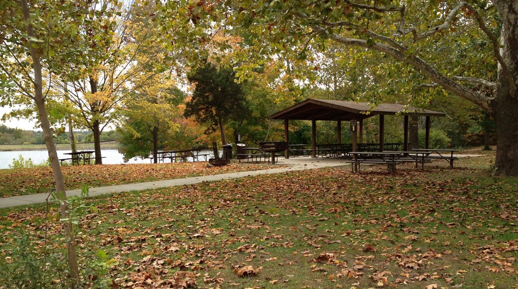 Lake Murphysboro State Park which includes autumn leaves, picnicing and forests