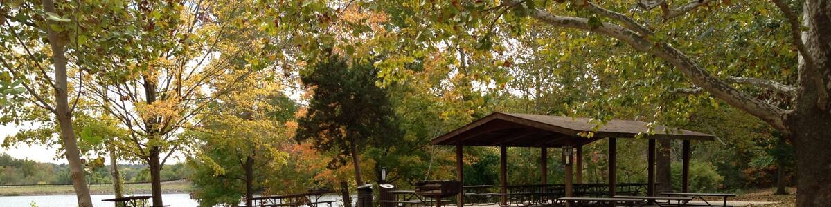 Lake Murphysboro State Park which includes autumn leaves, picnicing and forests