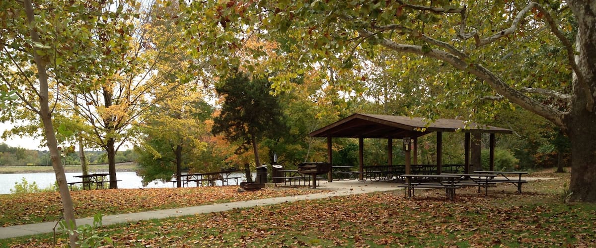 Lake Murphysboro State Park which includes autumn leaves, picnicing and forests