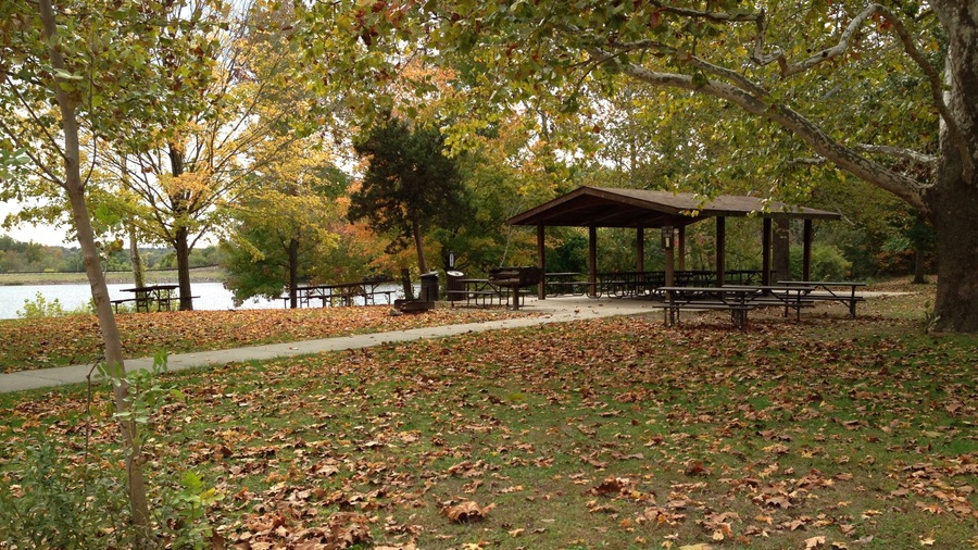 Lake Murphysboro State Park which includes autumn leaves, picnicing and forests