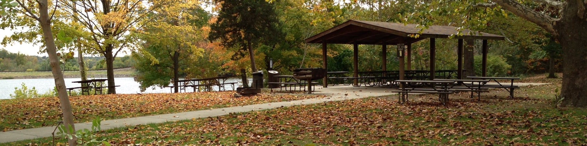 Lake Murphysboro State Park which includes autumn leaves, picnicing and forests