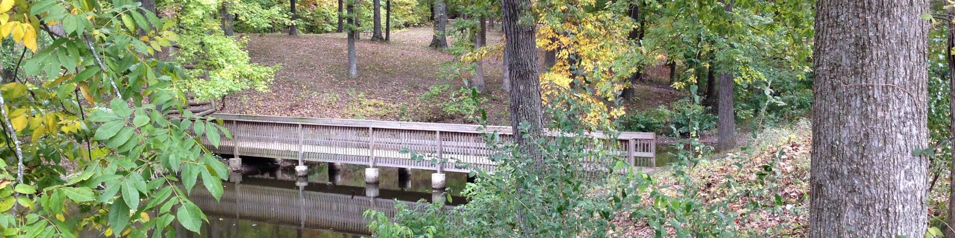 Lake Murphysboro State Park which includes forests and a river or creek