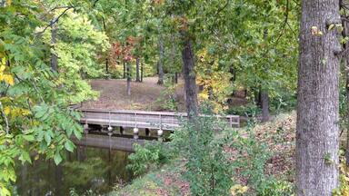 Parque Estatal Lake Murphysboro mostrando un río o arroyo y bosques