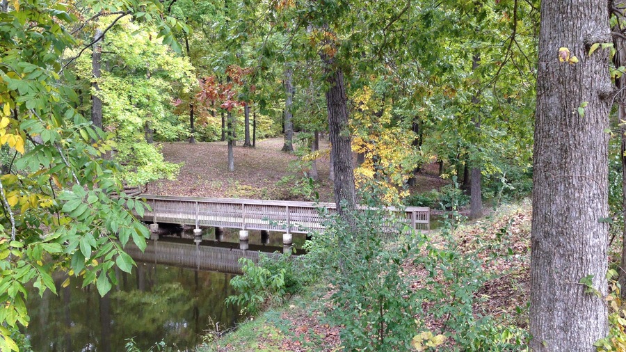 Lake Murphysboro State Park which includes forests and a river or creek