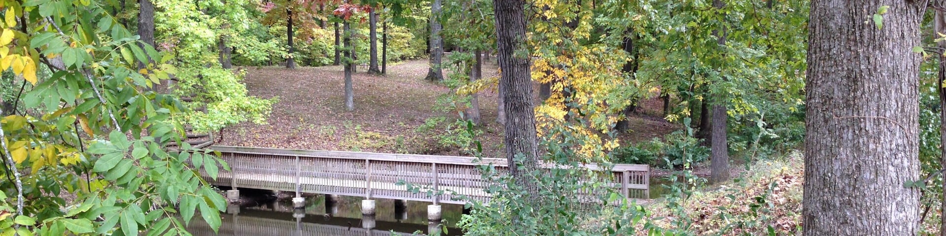 Lake Murphysboro State Park que inclui florestas e um rio ou córrego