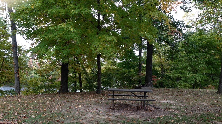 Lake Murphysboro State Park which includes tranquil scenes