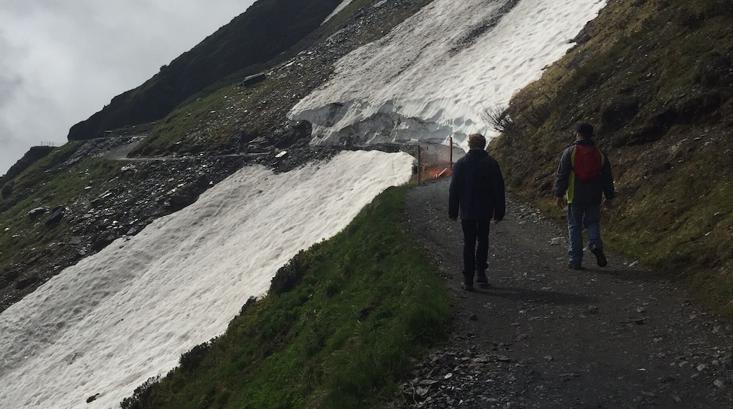 Hiking trail above Wengen, Switzerland.