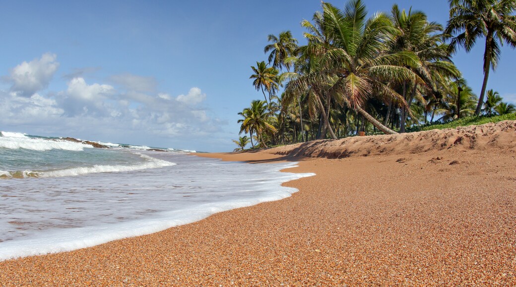 ์๋ธ๋ํ
์ค