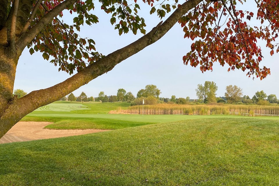 Een golfbaan met een grote boom op de voorgrond, een vijver en een heldere lucht.