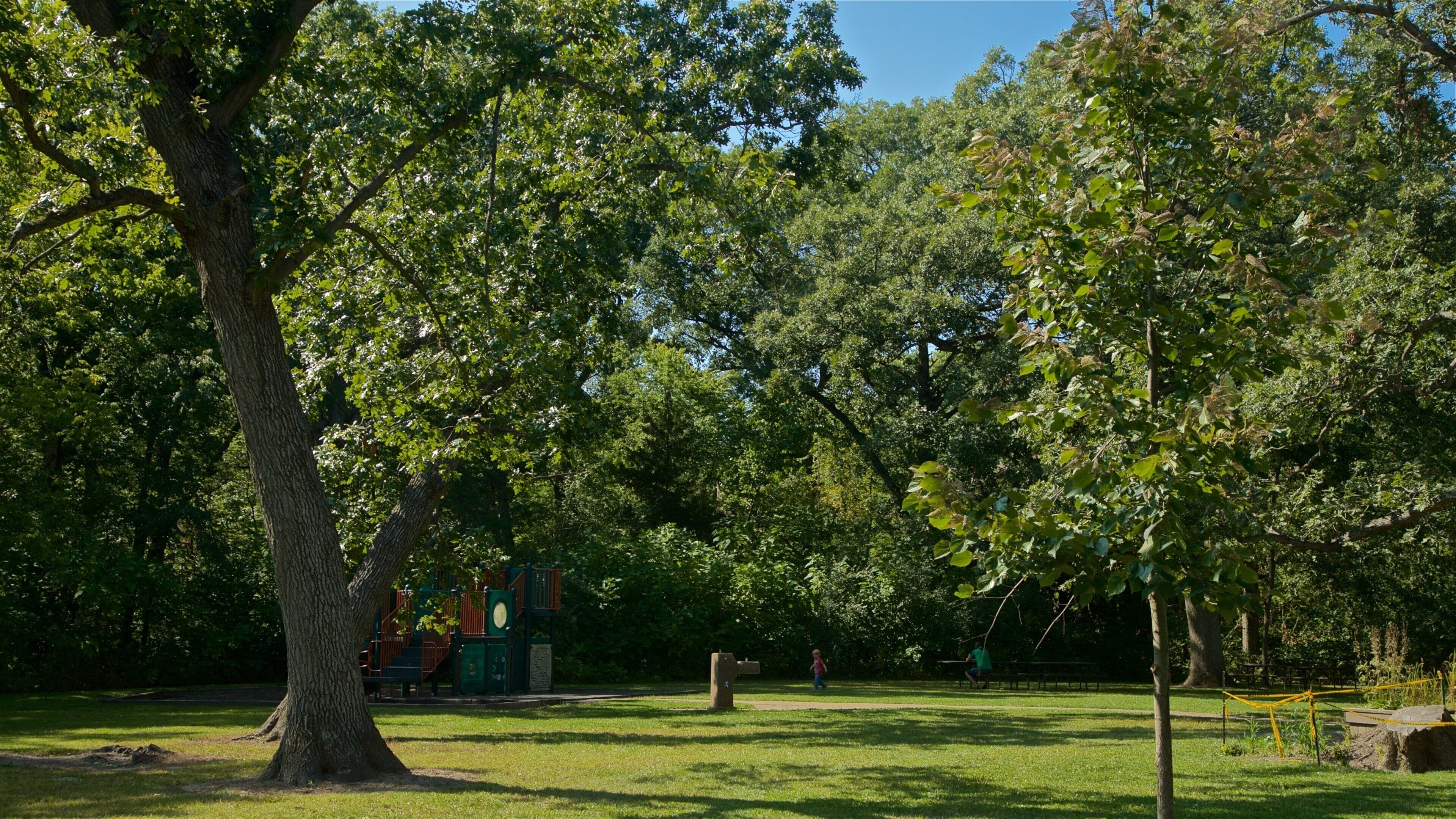 Buffalo Rock State Park showing a park