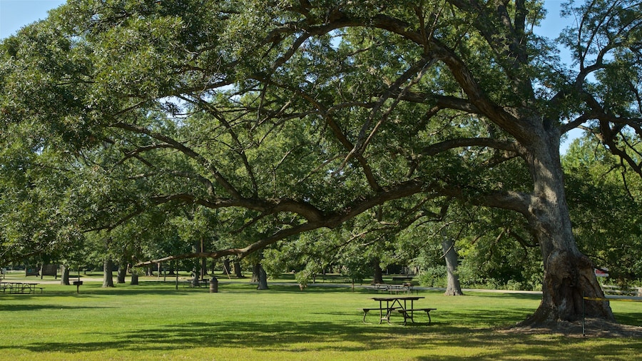 Buffalo Rock State Park featuring a park