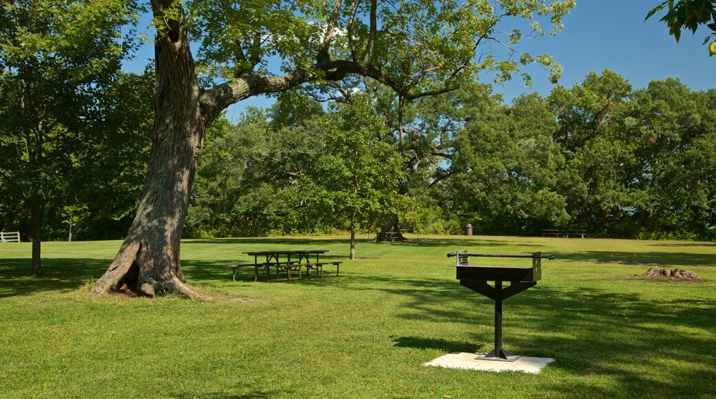 Buffalo Rock State Park showing a garden