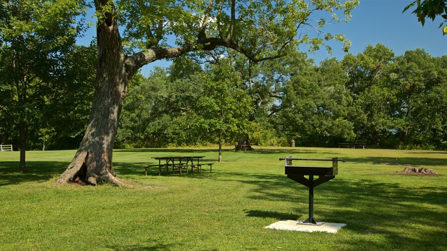 Buffalo Rock State Park showing a garden