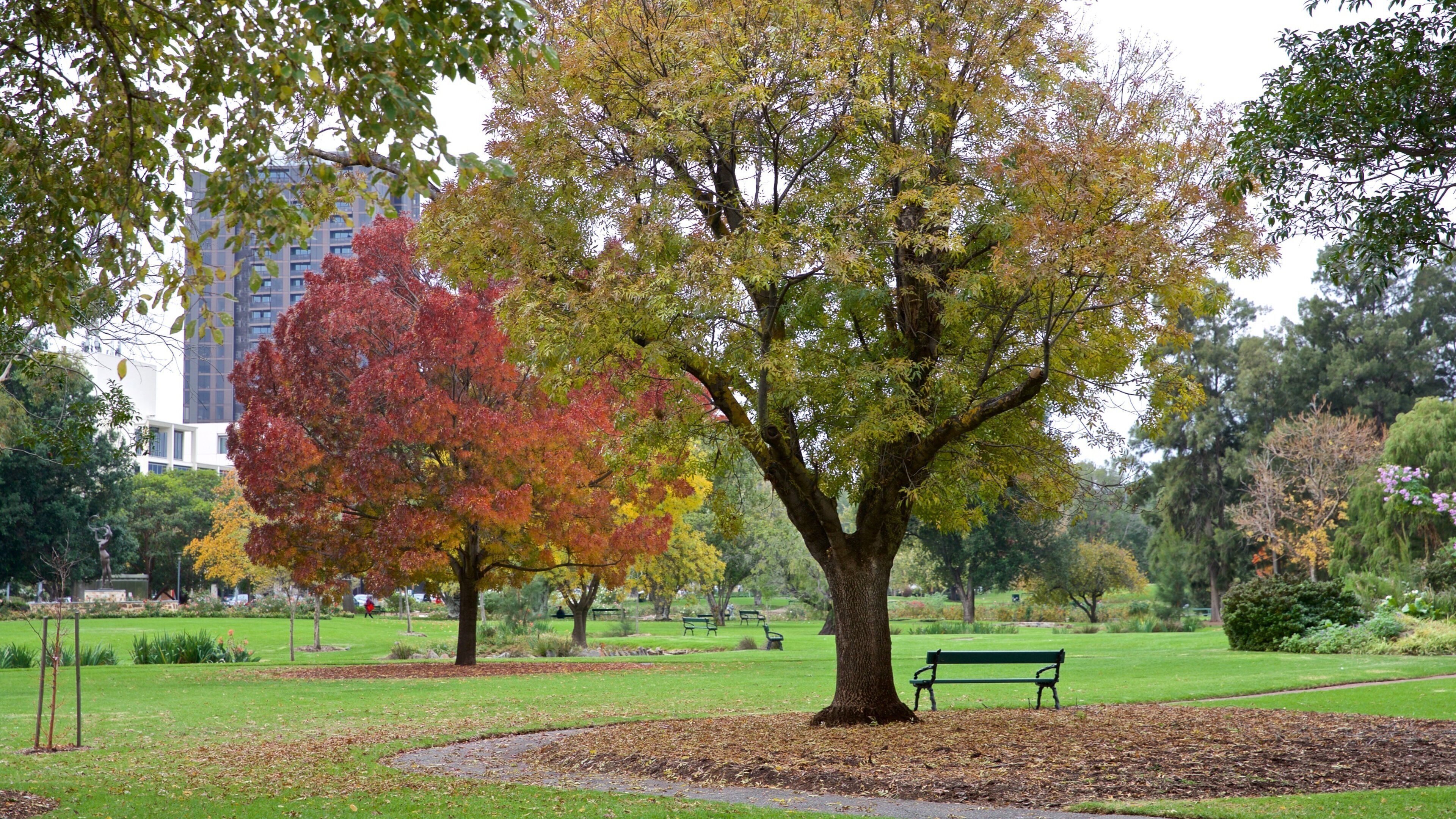 Veale Gardens featuring a garden