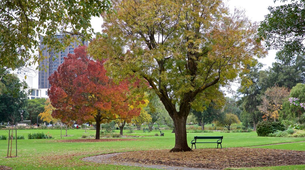 Veale Gardens featuring a garden