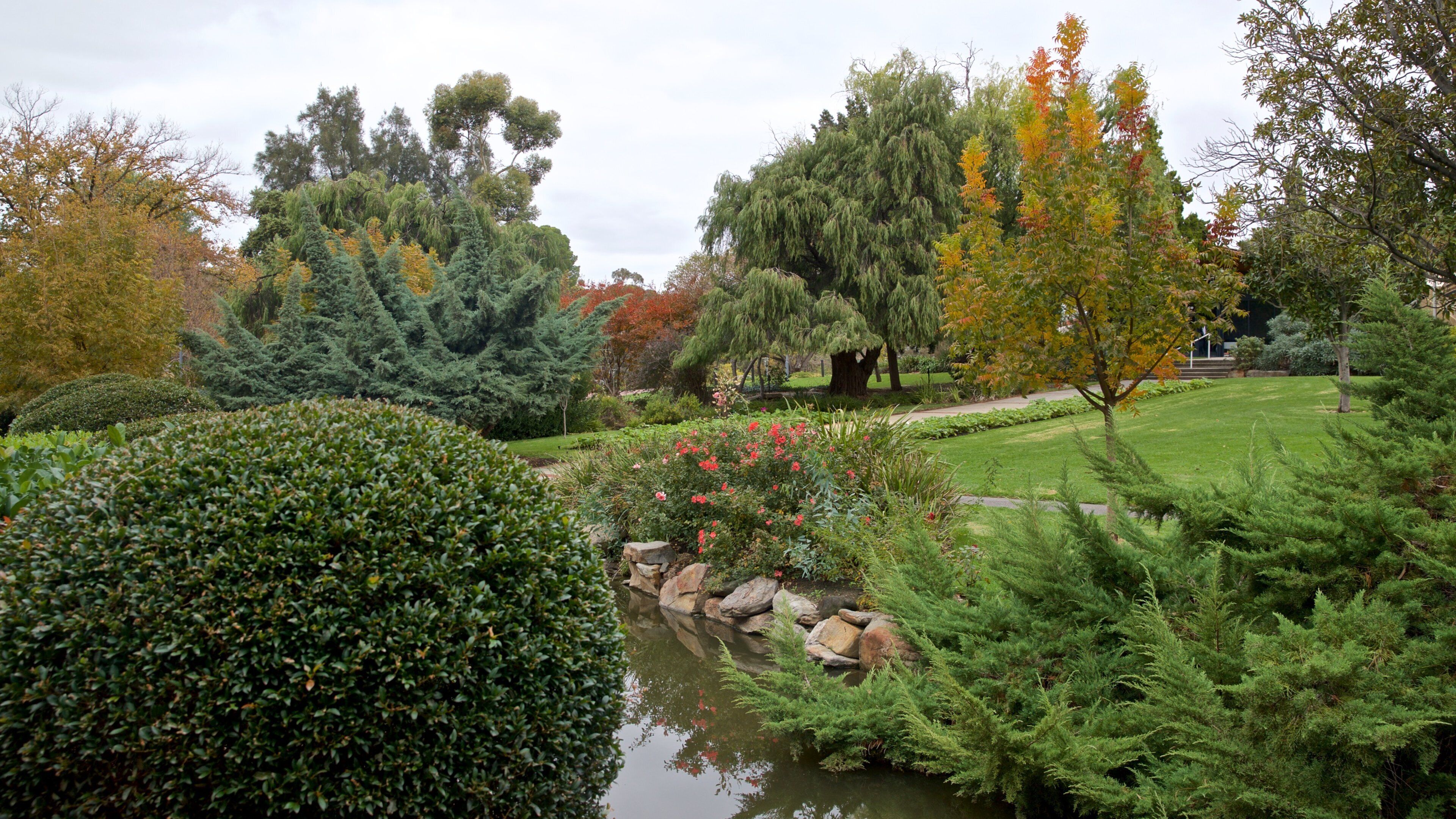 Veale Gardens featuring a river or creek, a garden and wildflowers